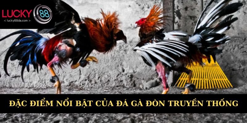 Đặc điểm nổi bật của đá gà đòn truyền thống