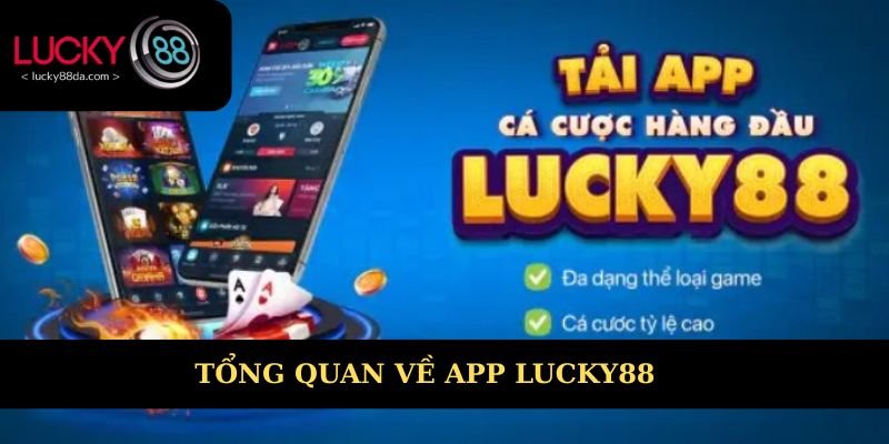Thông tin tổng quan về ứng dụng cá cược Lucky88